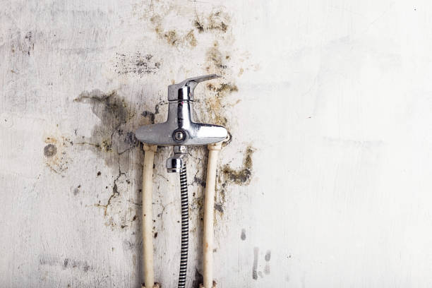 Mold Testing and Removal in Gretna, VA