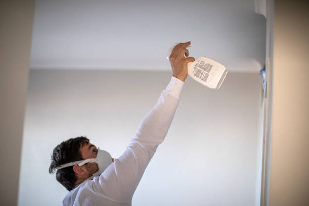 Best Mold Remediation  in Gretna, VA