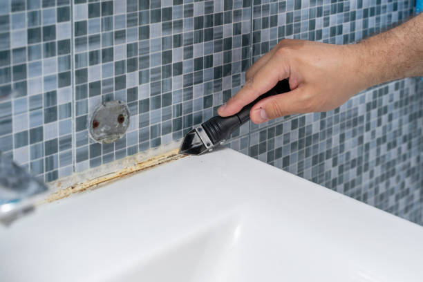 Best Residential Mold Removal  in Gretna, VA