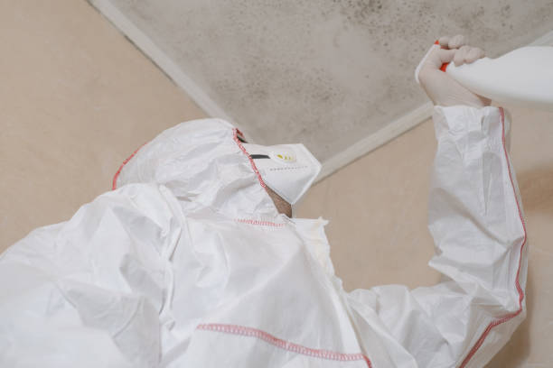 Best Affordable Mold Removal  in Gretna, VA