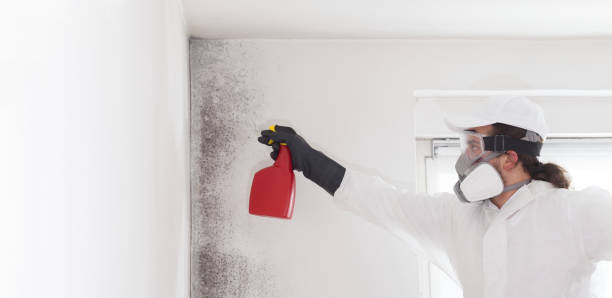 Best Mold Remediation  in Gretna, VA